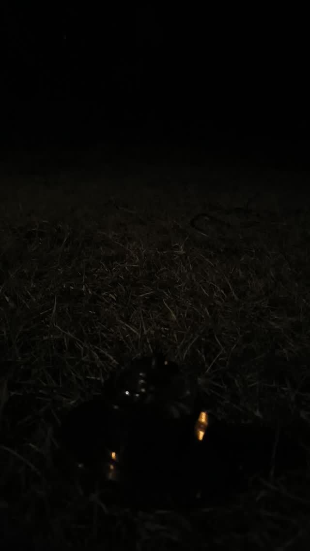 #tanimasa #テイストランタン #キャンプギア #真鍮ランタン #ランタン