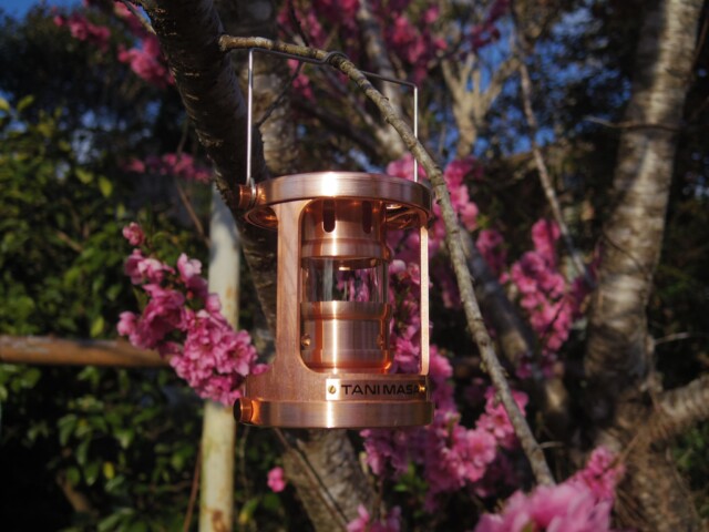 銅と桃の花がこれまた合う。 #ガレージブランド #TANIMASA #キャンプギア #オイルランタン #tanimasa #銅ランタン #純銅